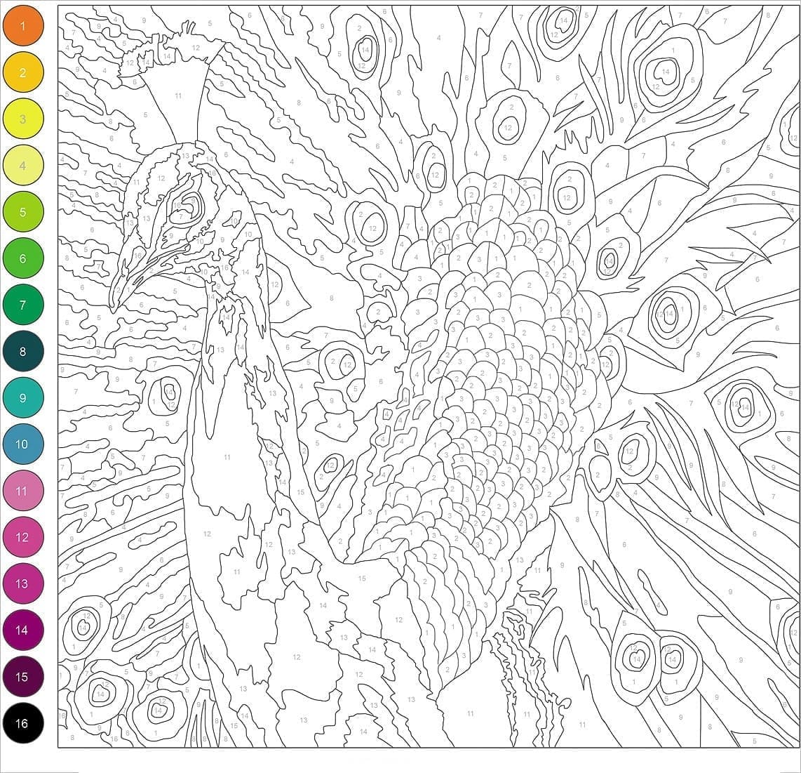 Coloriage Paon Magique Difficile