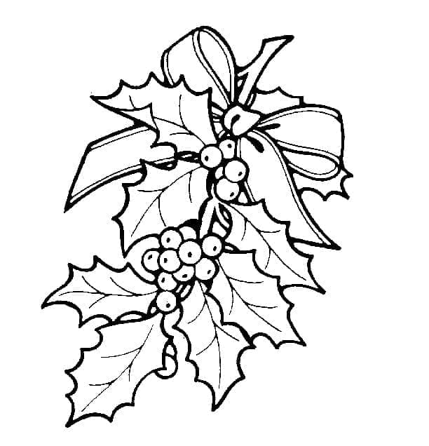 Coloriage Houx de Noël Pour les Enfants de 2 An