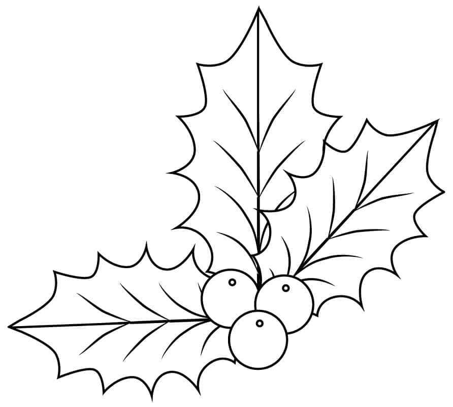 Coloriage Houx de Noël Pour les Enfants