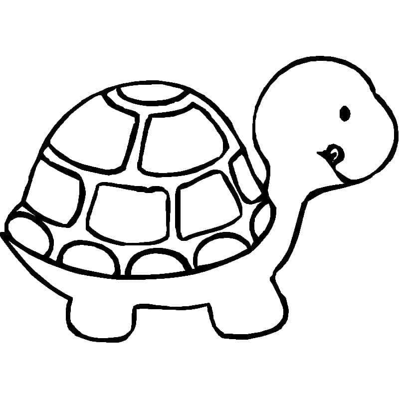 Coloriage Mignon bébé tortue