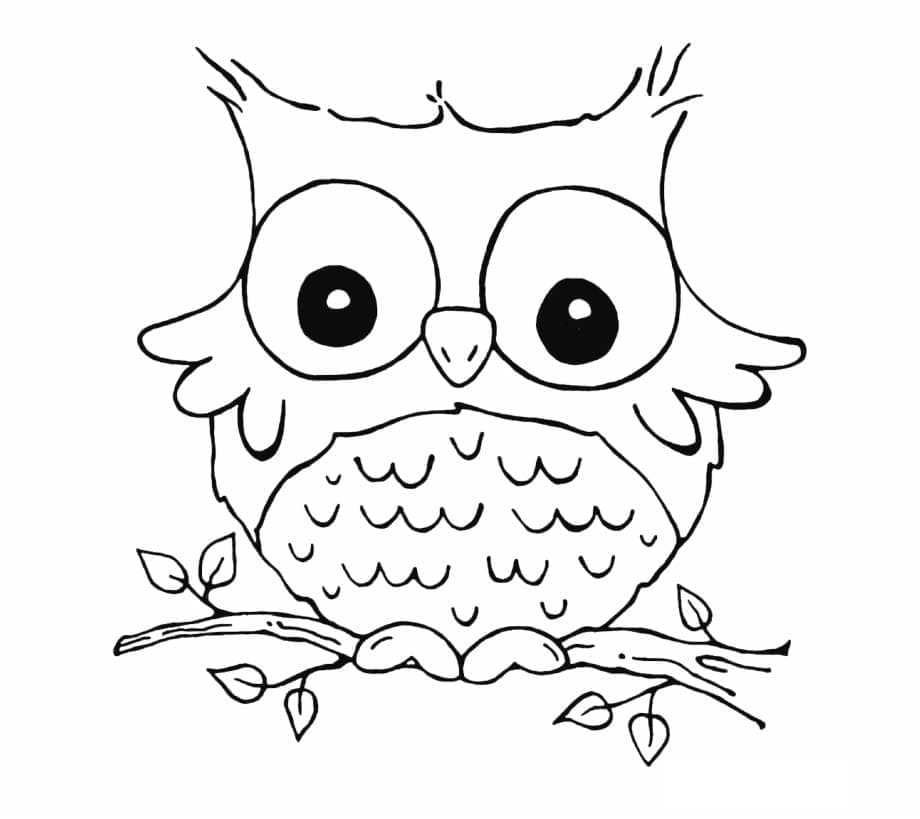 Coloriage Petit bébé hibou