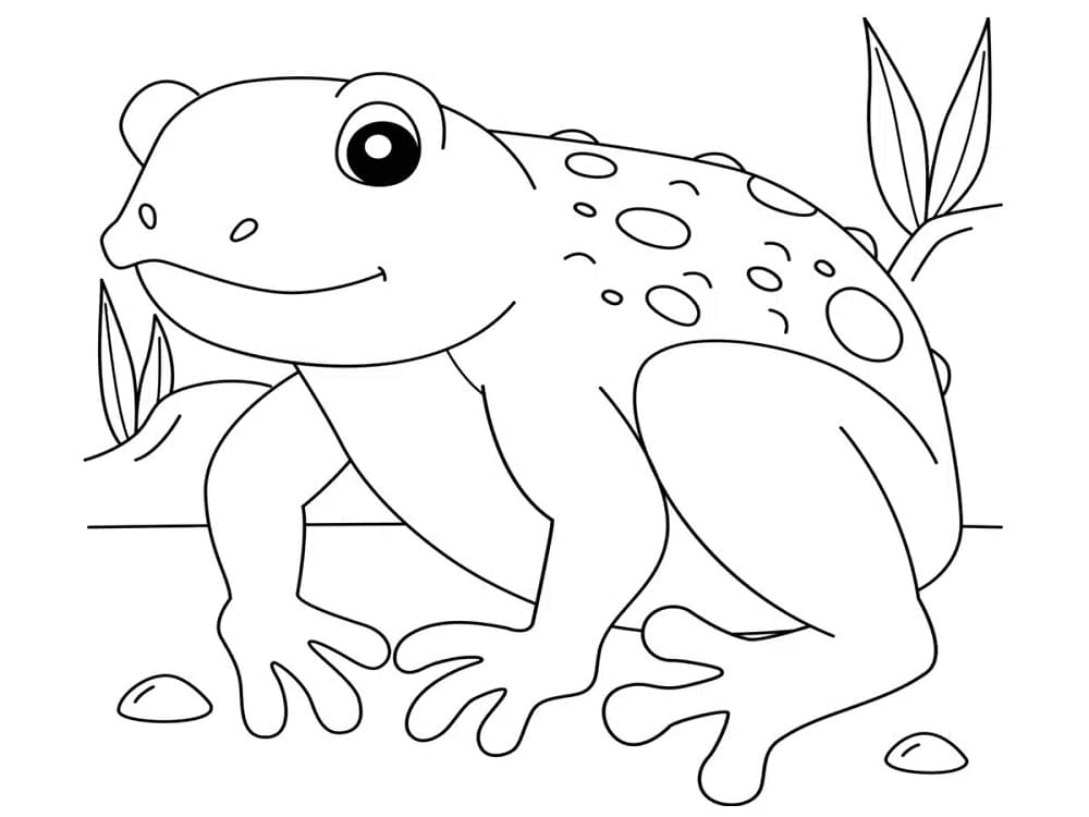 Coloriage Crapaud Simple