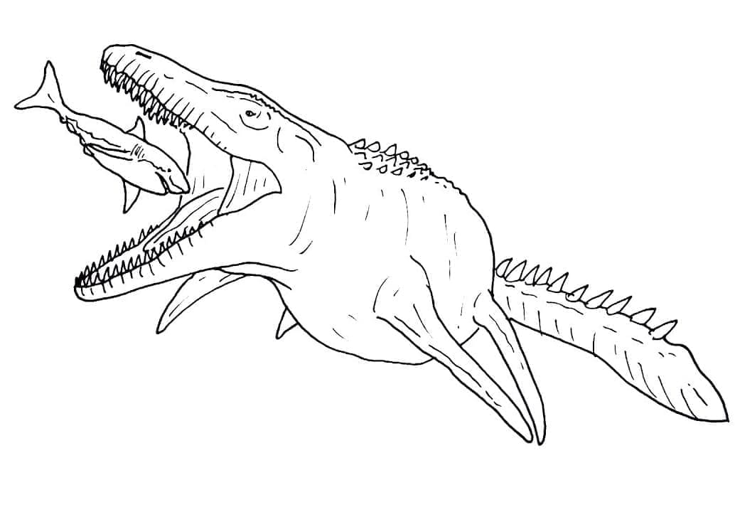 Coloriage Mosasaure Effrayant