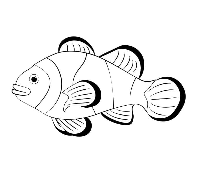 Coloriage Poisson Clown Gratuit