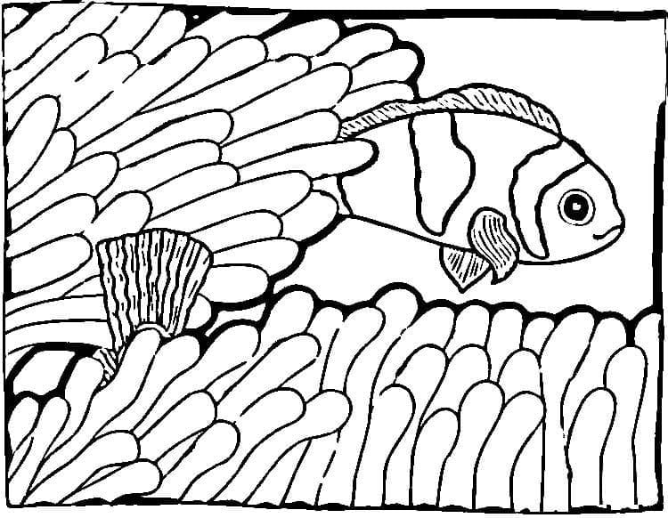 Coloriage Poisson Clown Normal