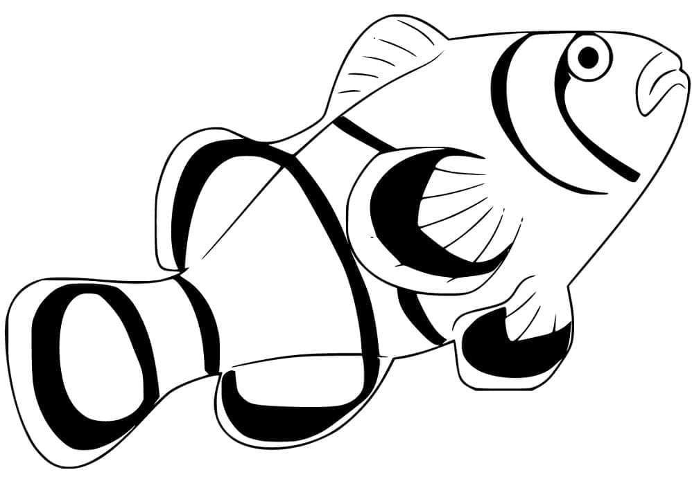 Coloriage Poisson Clown Pour Enfants