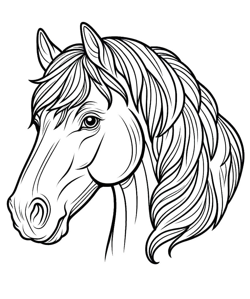 Coloriage Tête de Cheval