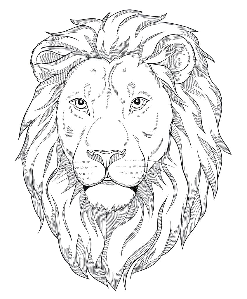 Coloriage Tête de Lion Réaliste