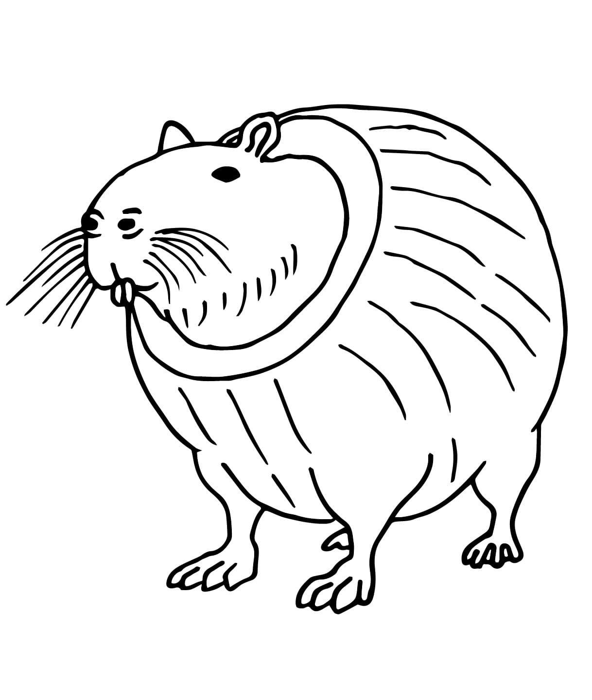 Coloriage Burbaloni Lulilolli Brainrot Italien