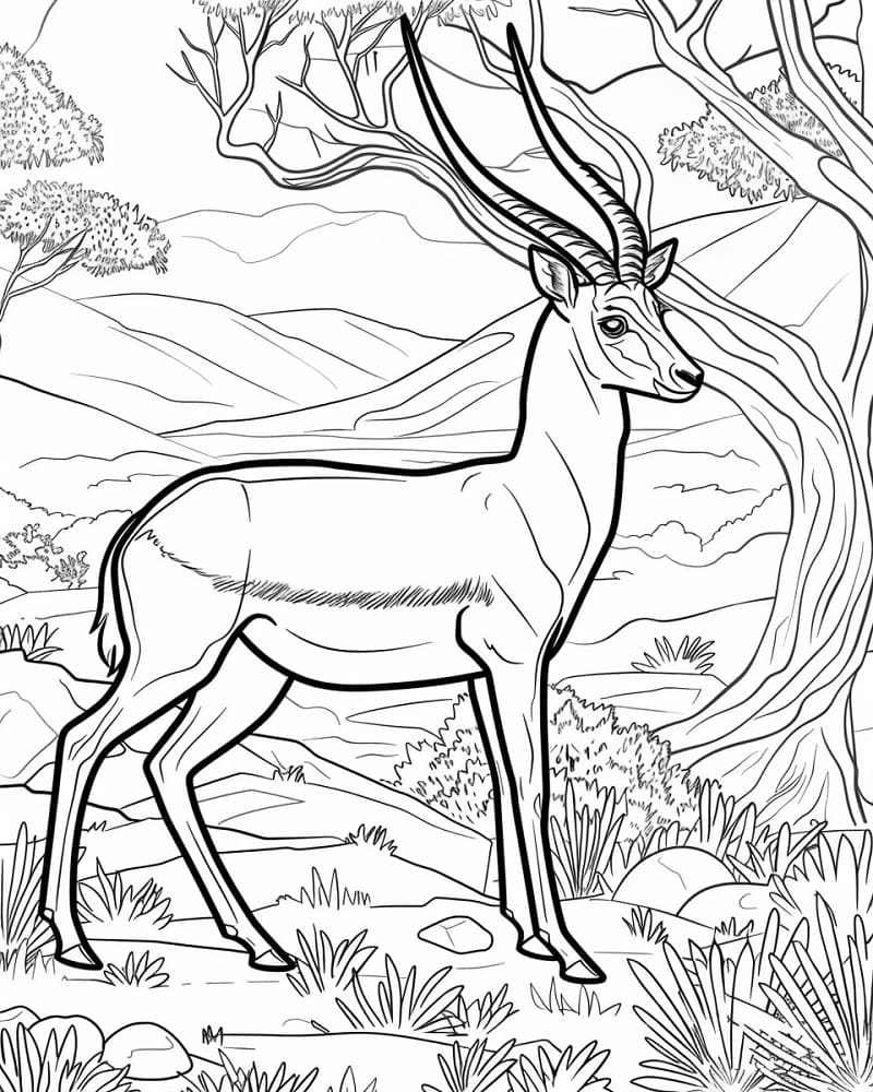 Coloriage Gazelle Sauvage