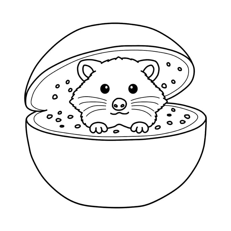 Coloriage Raccooni Watermelunni Brainrot Italien