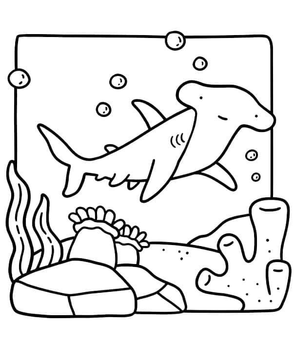 Coloriage Requin Coco Wyo