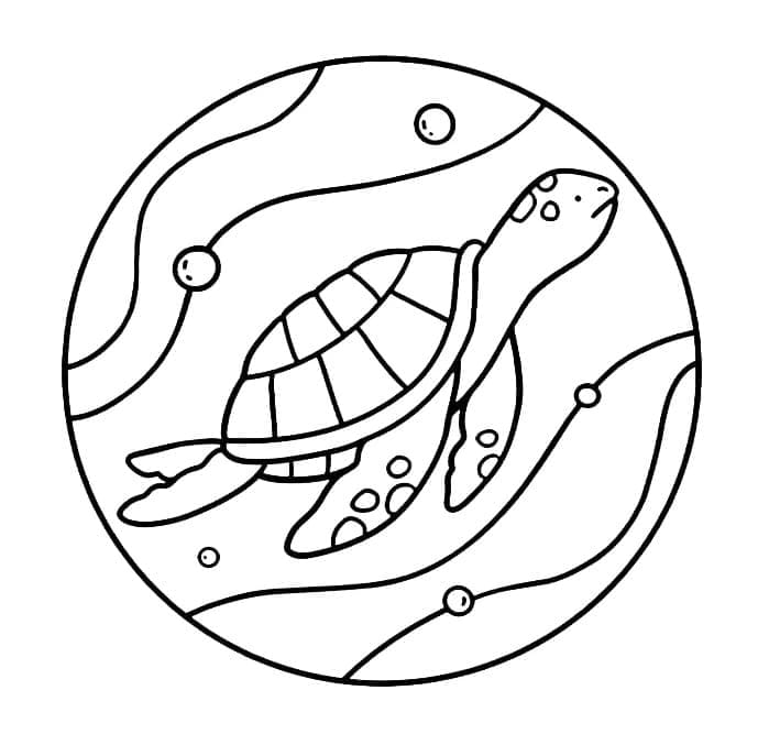 Coloriage Tortue Coco Wyo