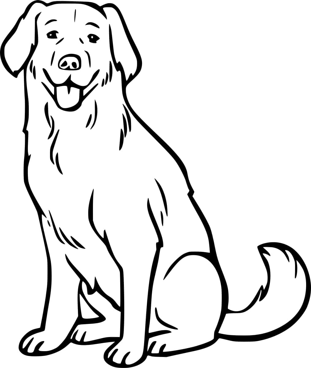 Coloriage labrador Heureux