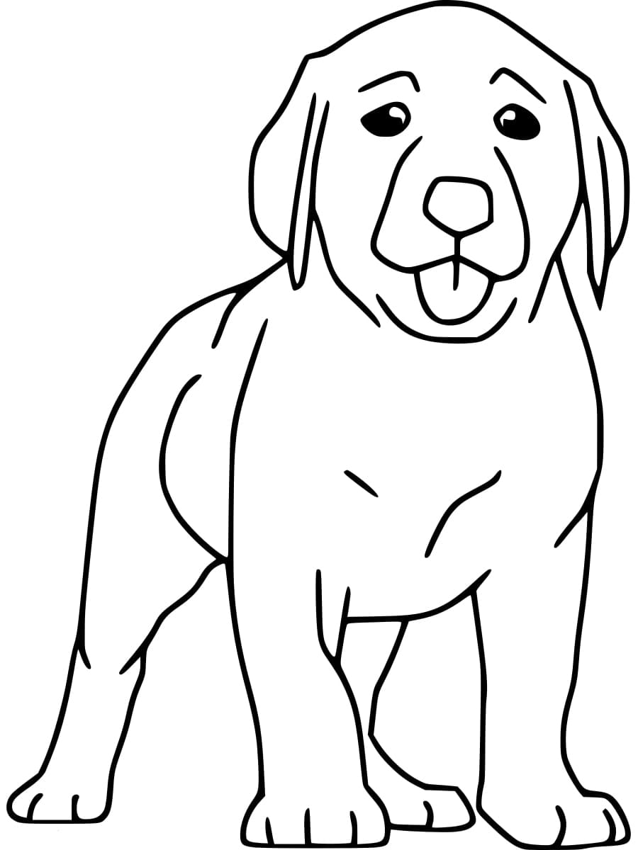 Coloriage Labrador Joyeux
