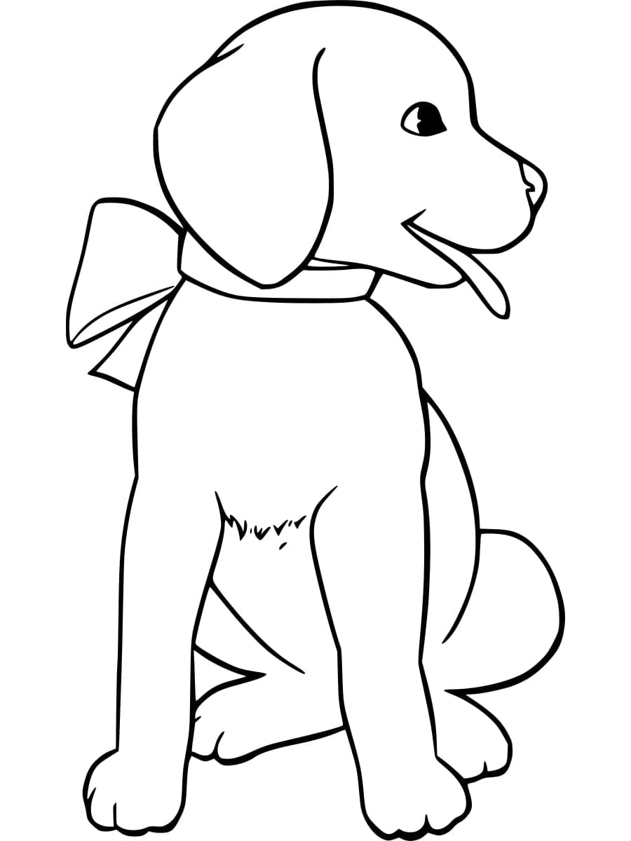 Coloriage Labrador Mignon