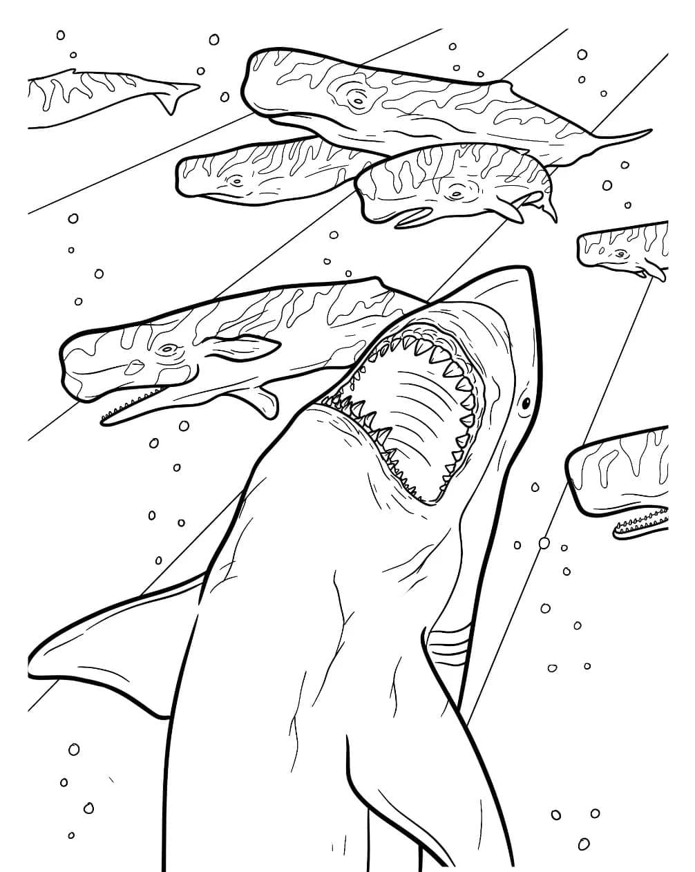 Coloriage Mégalodon et baleines