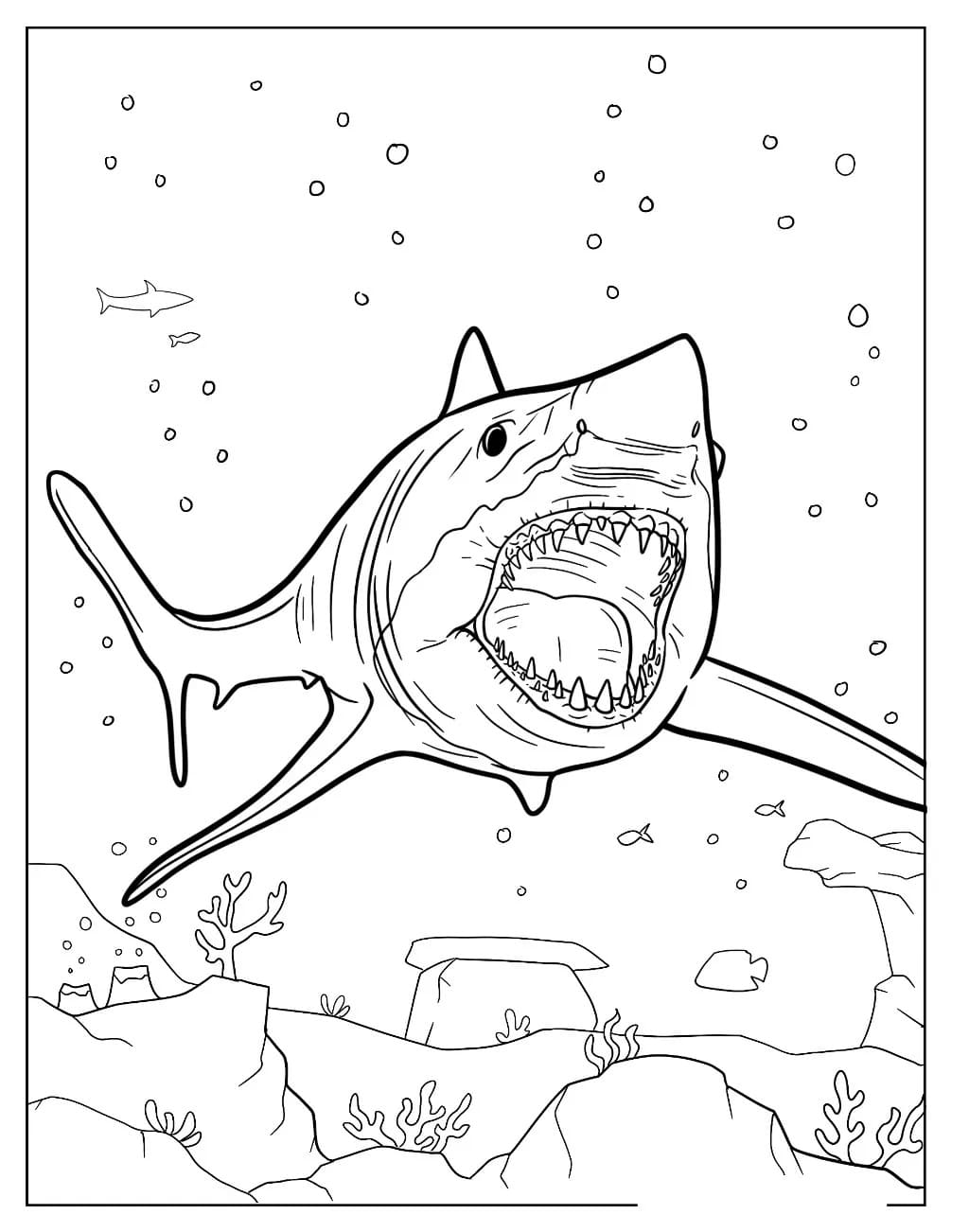 Coloriage Mégalodon géant