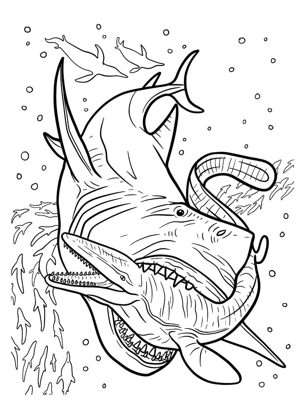 Coloriage Mégalodon Gratuit Pour Enfants