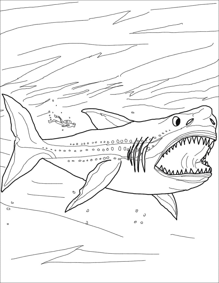 Coloriage Mégalodon Imprimable Gratuit Pour les Enfants