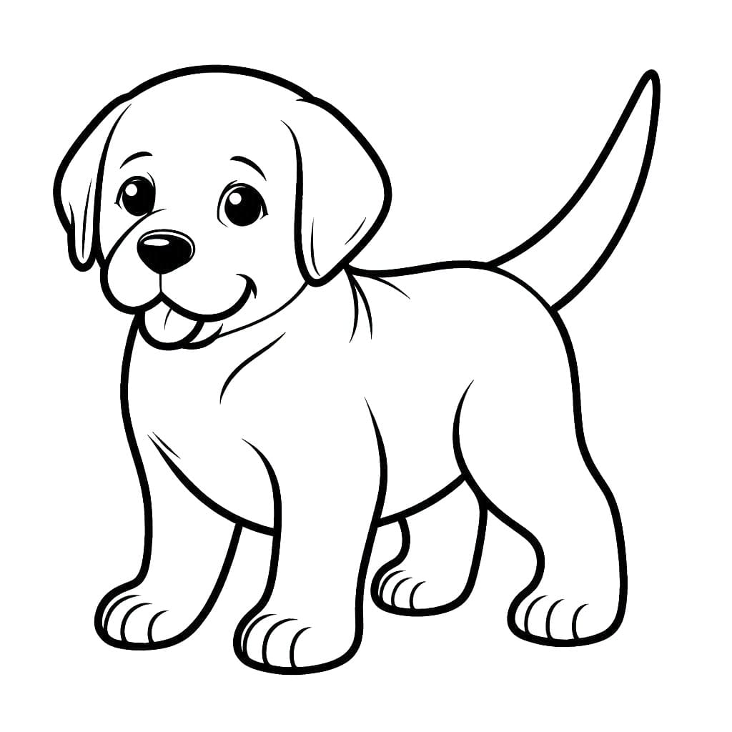 Coloriage Un Chien Labrador Très Mignon