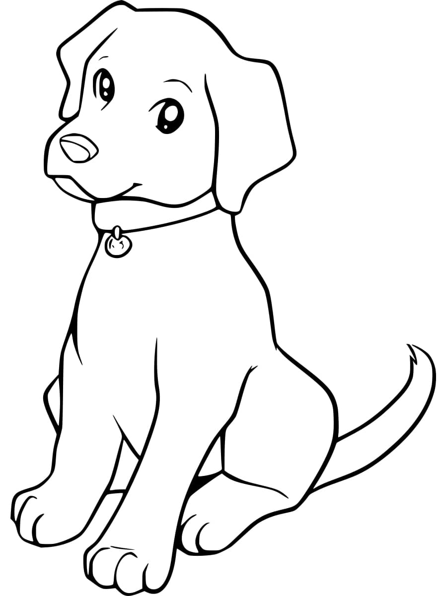 Coloriage Un Labrador très Mignon