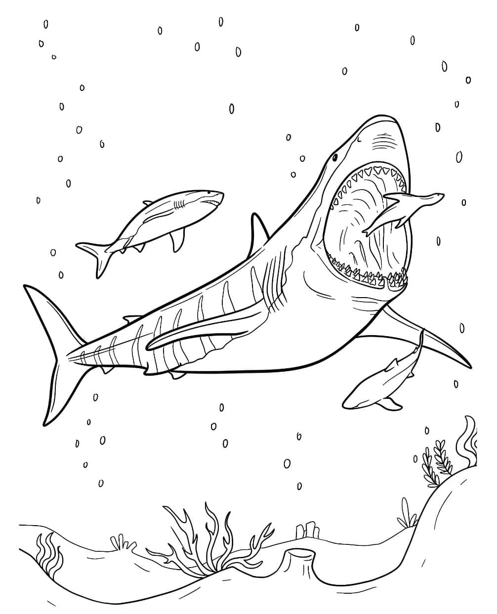 Coloriage Un mégalodon nageur