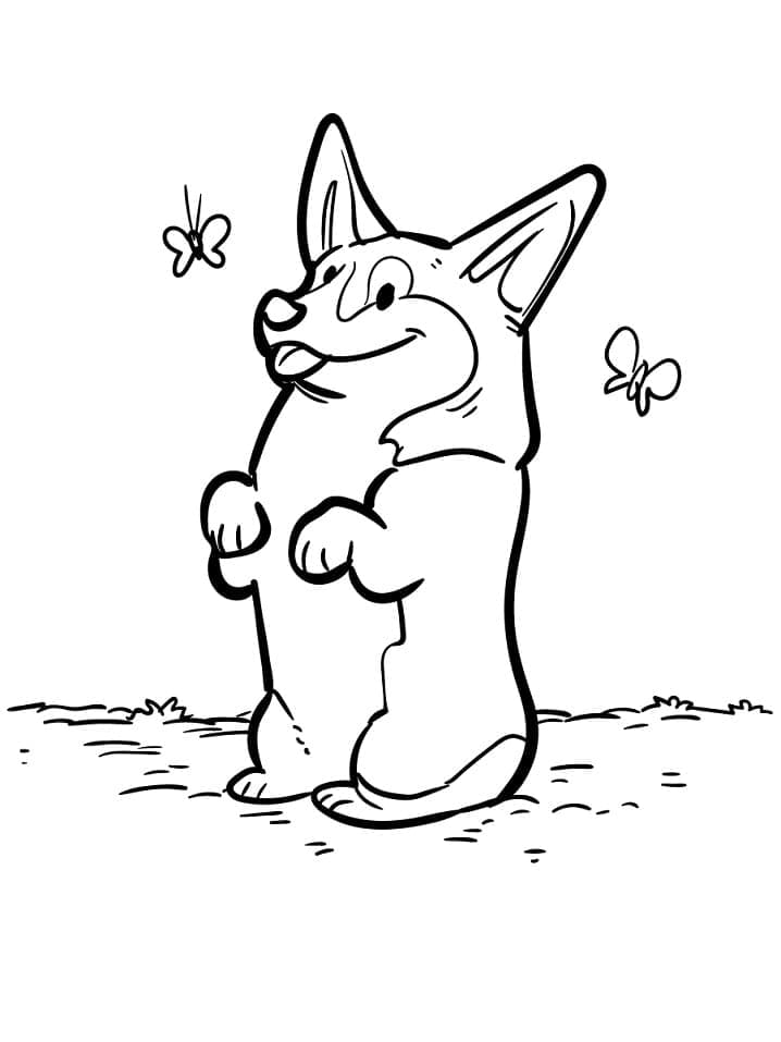 Coloriage Adorable Chien Corgi