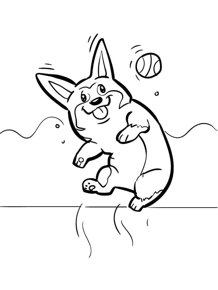 Coloriage Adorable Corgi