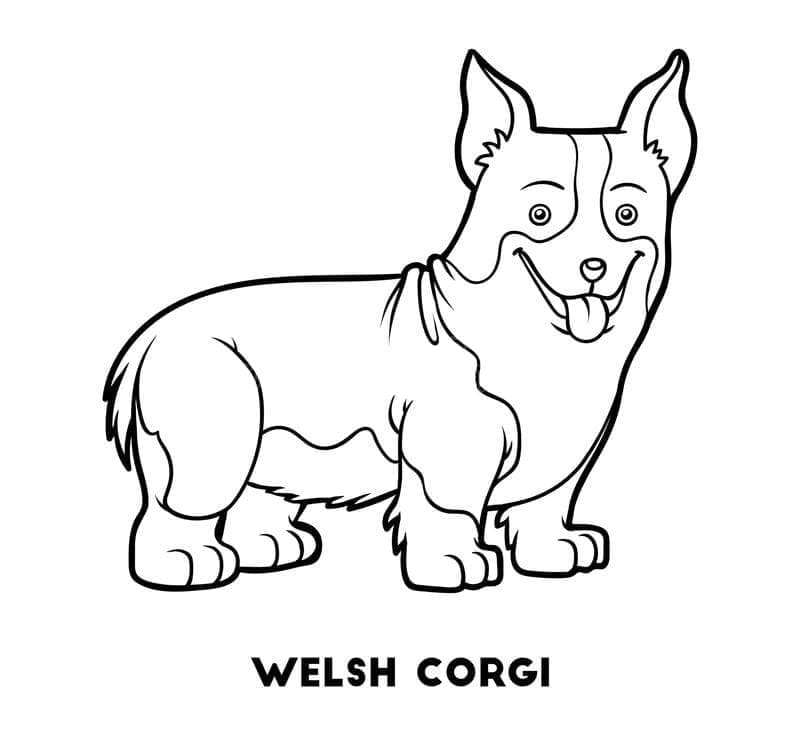 Coloriage Chien Corgi Heureux