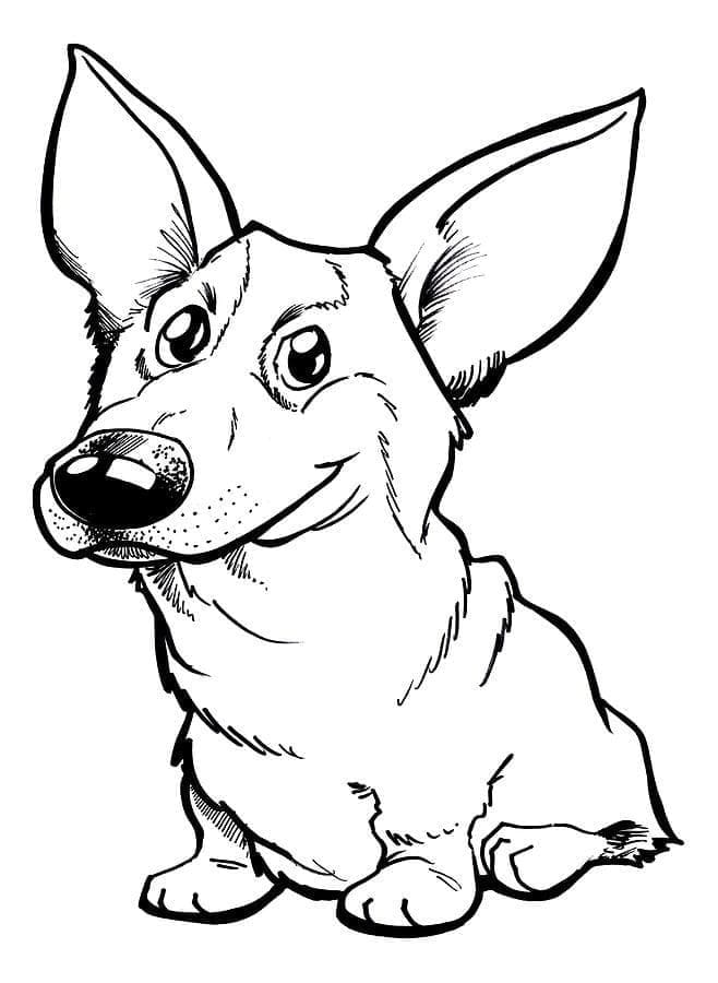 Coloriage Chien Corgi Souriant