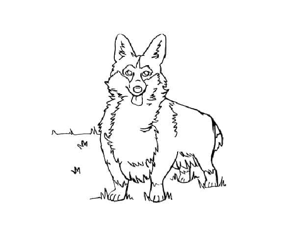 Coloriage Corgi Gratuit Pour Enfants