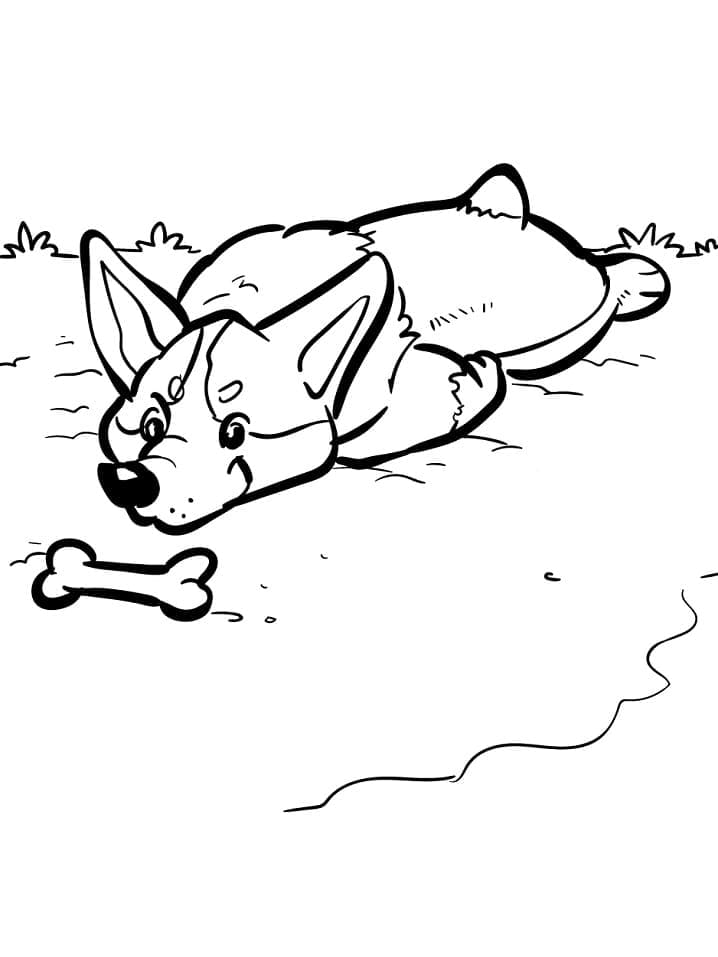 Coloriage Corgi Gratuit Pour les Enfants