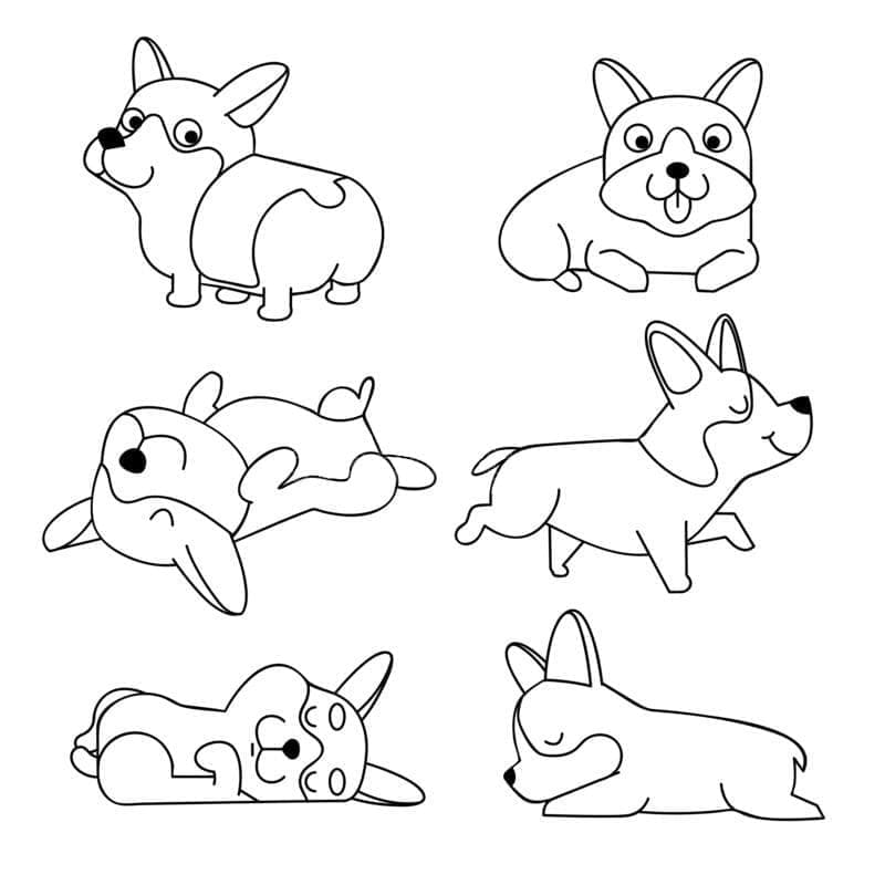 Coloriage Corgi Gratuit