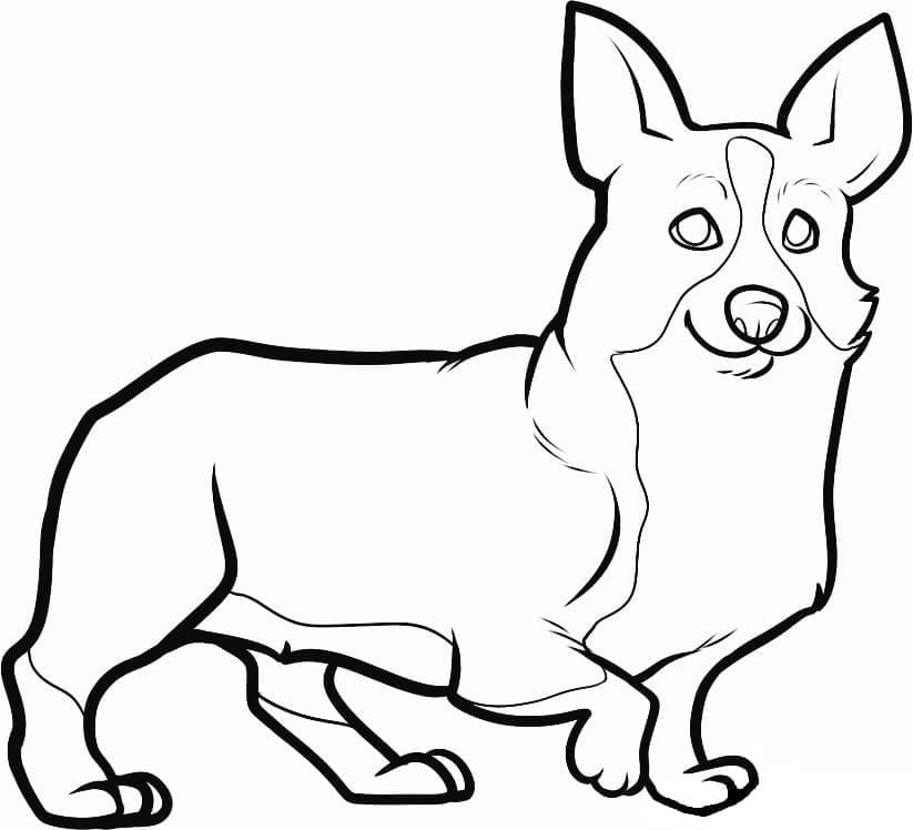 Coloriage Corgi Heureux