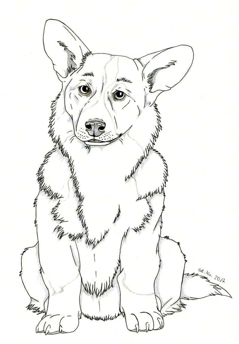 Coloriage Corgi Pour les Enfants