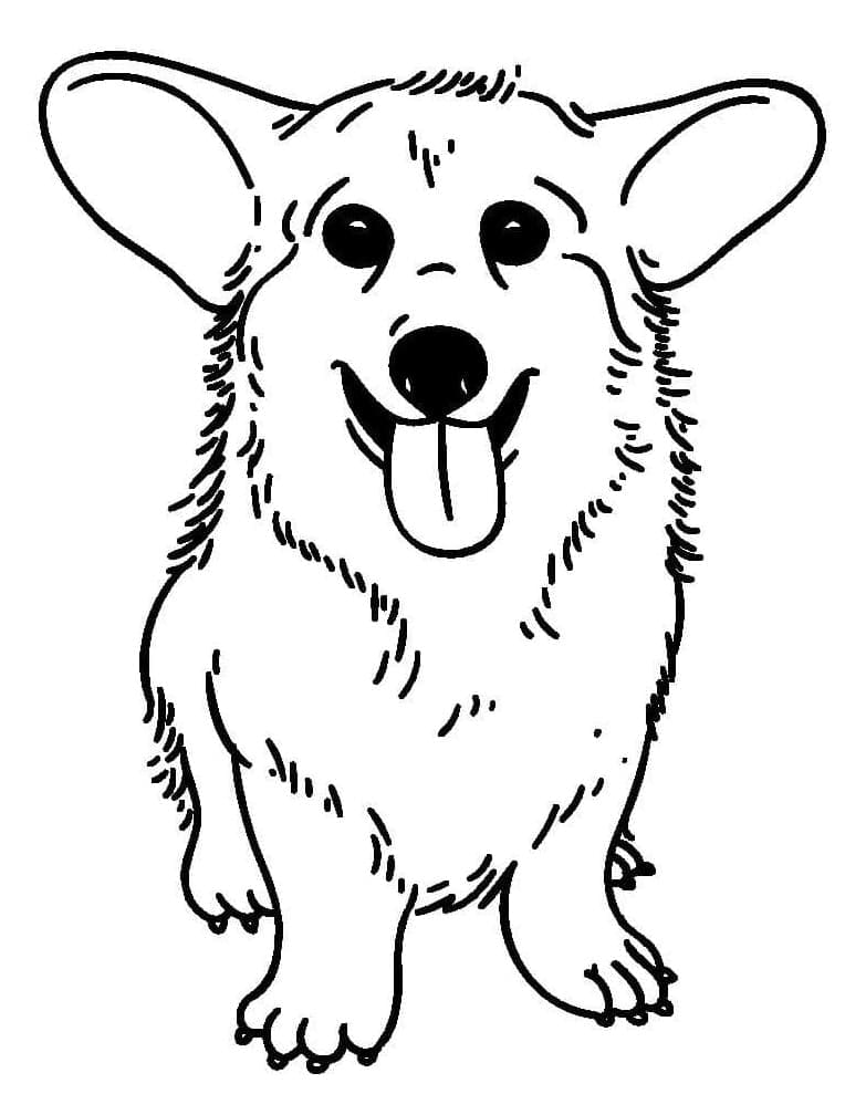 Coloriage Dessin de Corgi Gratuit