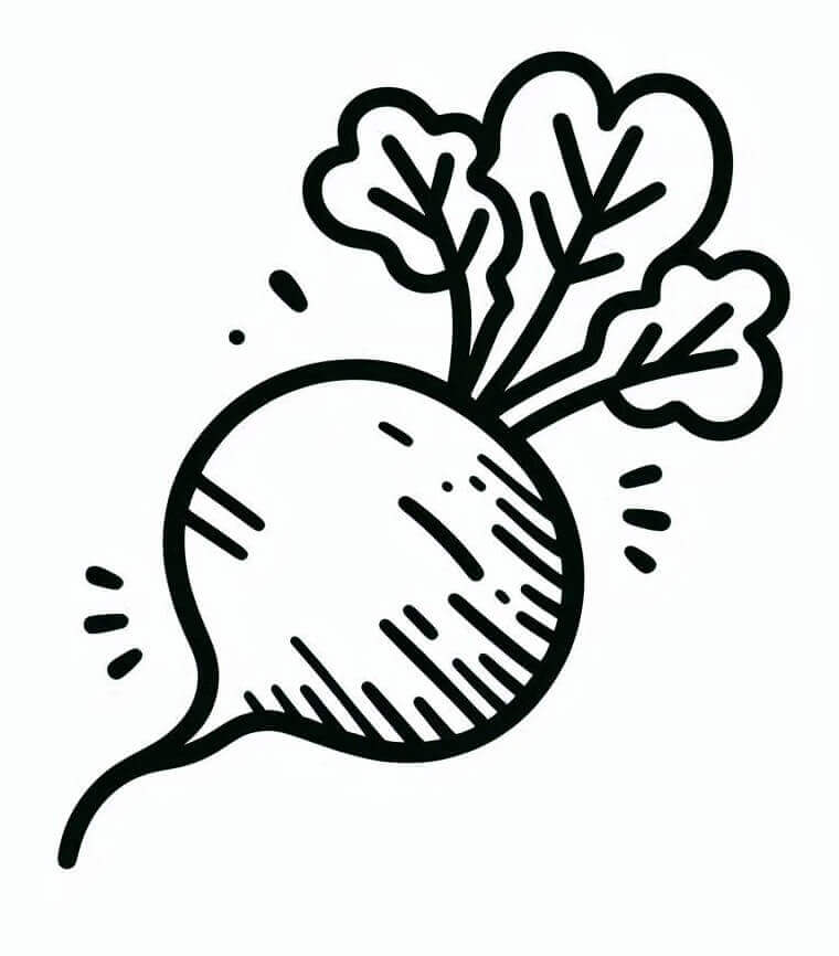 Coloriage Dessin de Radis Gratuit