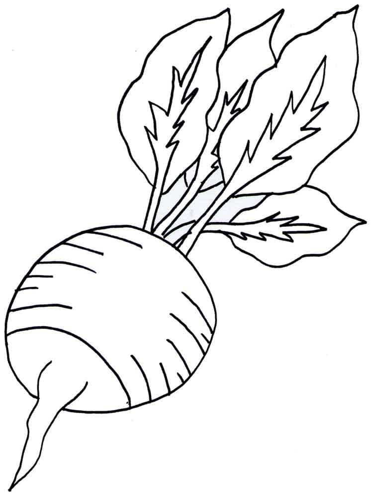 Coloriage Gratuit Radis Pour les Enfants