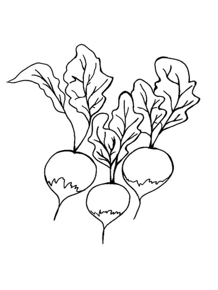 Coloriage Imprimable Gratuit Radis