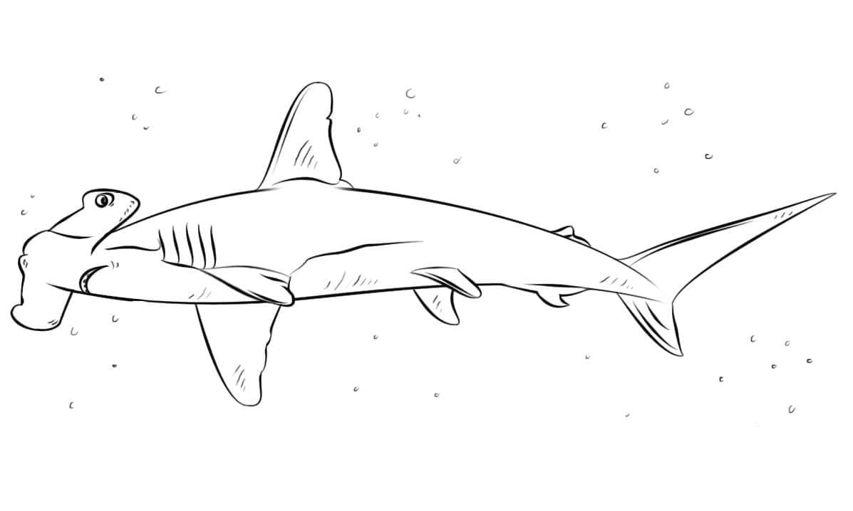 Coloriage Imprimable Gratuit Requin-marteau Pour les Enfants