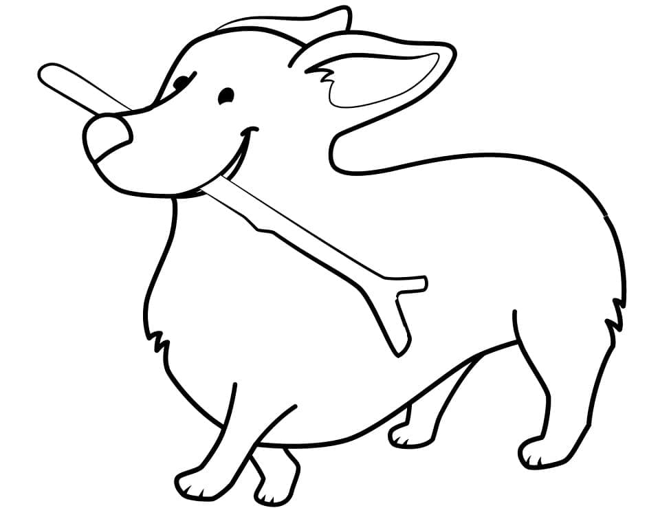 Coloriage Petit Corgi