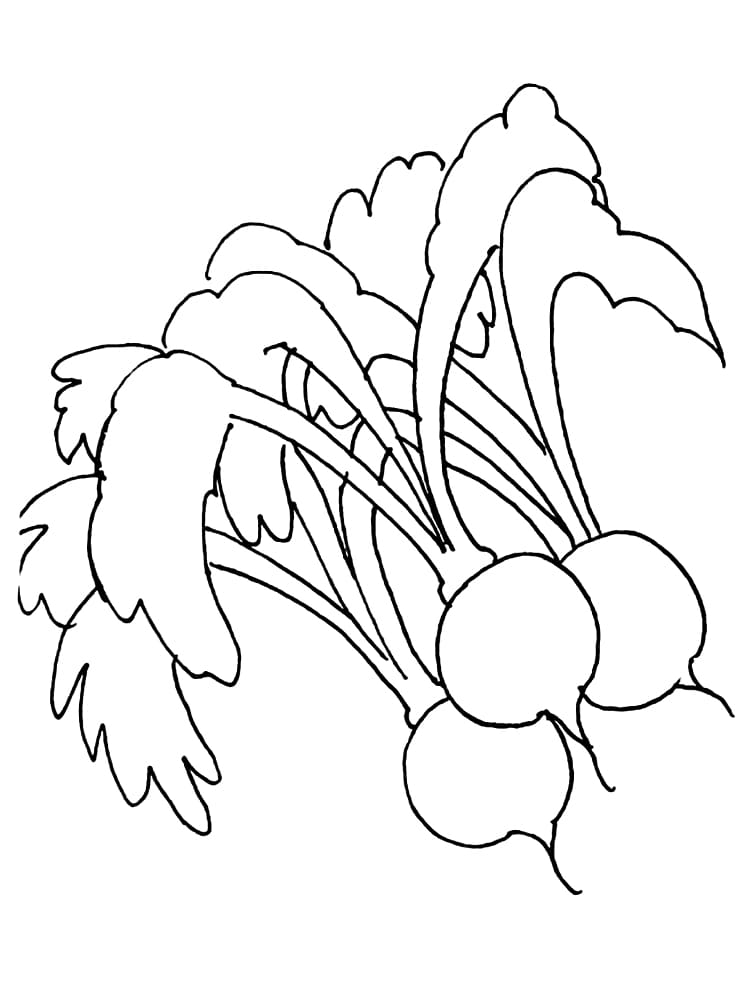 Coloriage Radis Imprimable Pour les Enfants