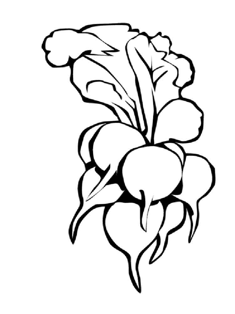 Coloriage Radis Imprimable