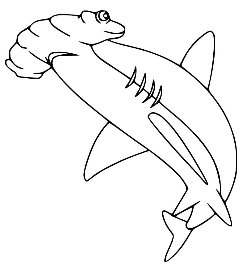Coloriage Requin-marteau Facile