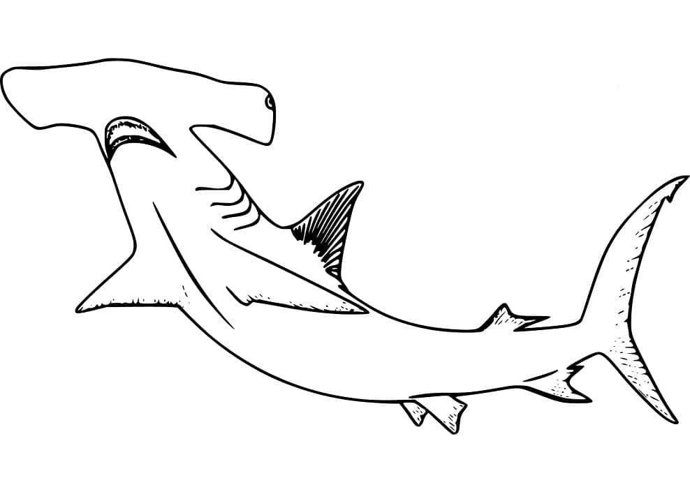 Coloriage Requin-marteau Imprimable Pour les Enfants