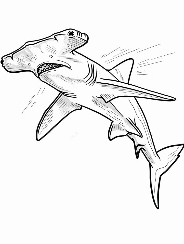 Coloriage Requin-marteau Normal