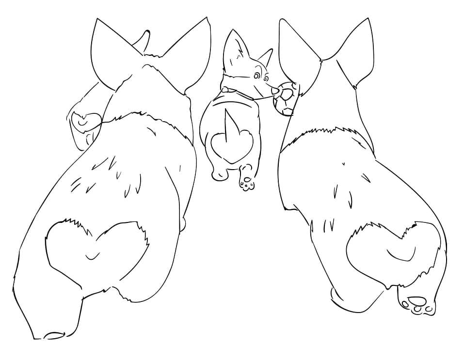 Coloriage Trois Chiens Corgi