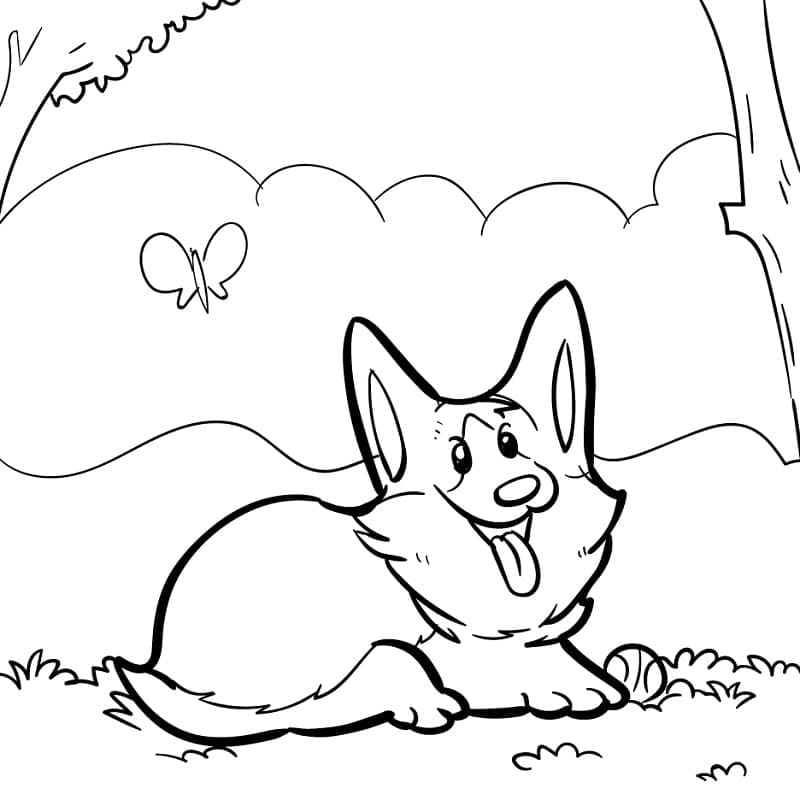 Coloriage Un Chien Corgi Mignon