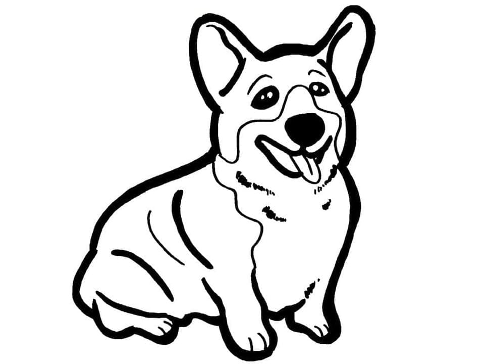 Coloriage Un Chien Corgi